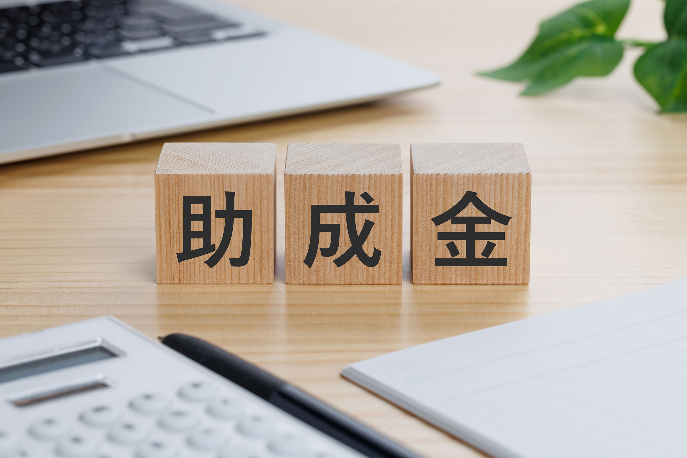 【2026年最新】柏市で外壁塗装に使える助成金・補助金はある？活用できる制度や申請の流れを解説