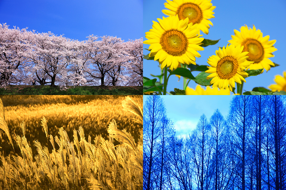 外壁塗装時期（季節・年数）はいつがいい？塗装を長持ちさせるコツもの画像04