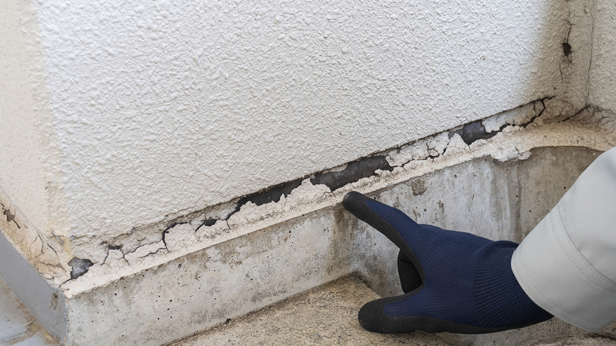 外壁塗装の耐用年数は10～20年が目安？塗料・外壁材の種類ごとの耐用年数まとめの画像07