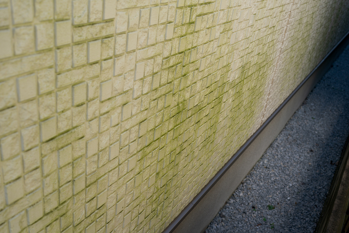 外壁にコケができる原因は？自分でできる掃除方法や苔がつかない・目立たない外壁も紹介の画像11